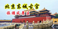 被操逼爽爽爽视频中国北京-东城古宫旅游风景区